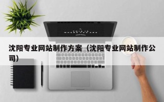 丰城沈阳专业网站制作方案（沈阳专业网站制作公司）
